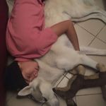Alexis Perrin - @aperrin517 - Instagram