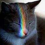 Alexis Perrin - @alexis.perrin.923 - Instagram