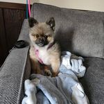 Alexis Perrin - @rayneperrin13 - Instagram