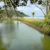 alexis.brouillard - @alexis.brouillard0 - TikTok