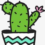 Alexis Shafer - @thereadingcactus - Instagram