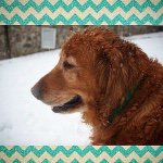 Alexis Nevaeh Shoemaker - @lexishoemaker46912 - Instagram