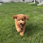 Penelope Alexis Spray - @pennyforyourthoughts.120 - Instagram