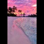 Alexis Spry - @alexisspry13 - Instagram