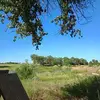 Alexis Velez - @alexis.velez279 - TikTok