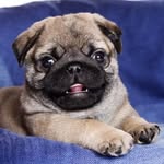Alexis Rose Gronning - Vickers - @alexisrosegronningvickers6 - Instagram