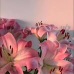 Alexis Yoder - Facebook
