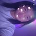 Alexus Ramos - Facebook