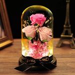 Alf Sam - @alfsam5 - Instagram