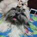 Mero Alf Sam - Facebook