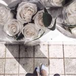 Samya - @alf.samya - Instagram