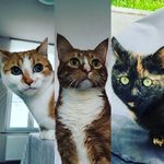 Tomáš Vít - @alf_sam_eli - Instagram
