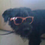 Alfie Beard - @3alfie3beard3 - Instagram