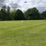 Alfie Harrison - @alfie.harrison.50159 - Instagram