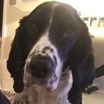 Alfie Porter - @palfie123 - Instagram