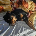 Alfie Porter - Facebook