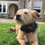Alfie Porter - @alfies_photography5 - Instagram