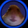 Alfie porter - @just____vibxs - TikTok