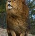 Alfonso Abrego - Facebook