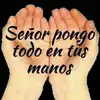 Alfonso Batista - @alfonso.batista20 - TikTok