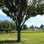 Alfonso Cisneros - @alfoncisneros - Instagram