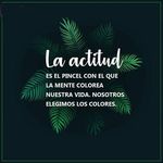 Alfonso Dominguez - @alfonsodominguez78 - Instagram