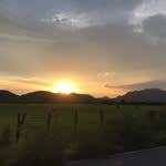 Alfonso Escobar - @alfonso_escobar007 - Instagram