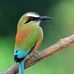 Alfonso Espinal - Facebook