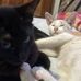 Alfonso Espinal - Facebook