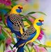 Alfonso Espitia - Facebook