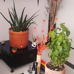 Alfonso Espitia - @alfonsini1010 - Instagram