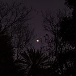 Alfonso Ibañez Mendoza - @alfonsoibanezmendoza - Instagram