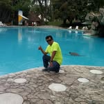Alfonso Jacobo - @alfonso.jacobo.5437 - Instagram