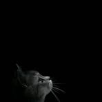 Alfonso Jacobo - Facebook