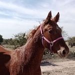 Alfonso Lugo Guerrero - @alfonso_lugo_guerrero - Instagram