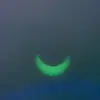 alfonso munoz - @alfonso.munoz8 - TikTok