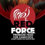 Alfonso Negrete - @redforce.gallo - Instagram