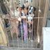 Alfonso Ochoa - Facebook