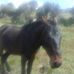 Alfonso Ochoa - Facebook