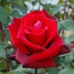 Alfonso Ong - Facebook