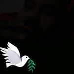 Alfonso Quinones - @quinones5211 - Instagram
