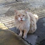 Alfonso Quiñones Calderón - @alfonsoquinonescalderon - Instagram