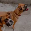 Alfonso Roldan - @alfonso.roldan76 - TikTok