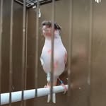 Alfonso Russo - @alfonso.russo.18488 - Instagram