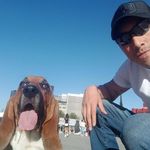 Alfonso Valencia Caballero - @alfonsovalenciacaballero - Instagram