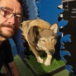 Alfred Andersen - @andersen.alfred - Instagram