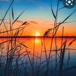 Alfred Anderson - @alfredanderson582 - Instagram