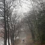 Alfred Benson - @sportandcoffee - Instagram