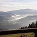 Alfred Berger - Facebook