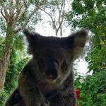@alfred_bester - Instagram